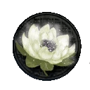 sacred lotus items wo long fallen dynasty wiki guide 128px